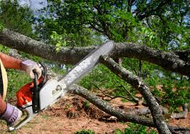 Landscape Design and Installation in Stanaford, WV